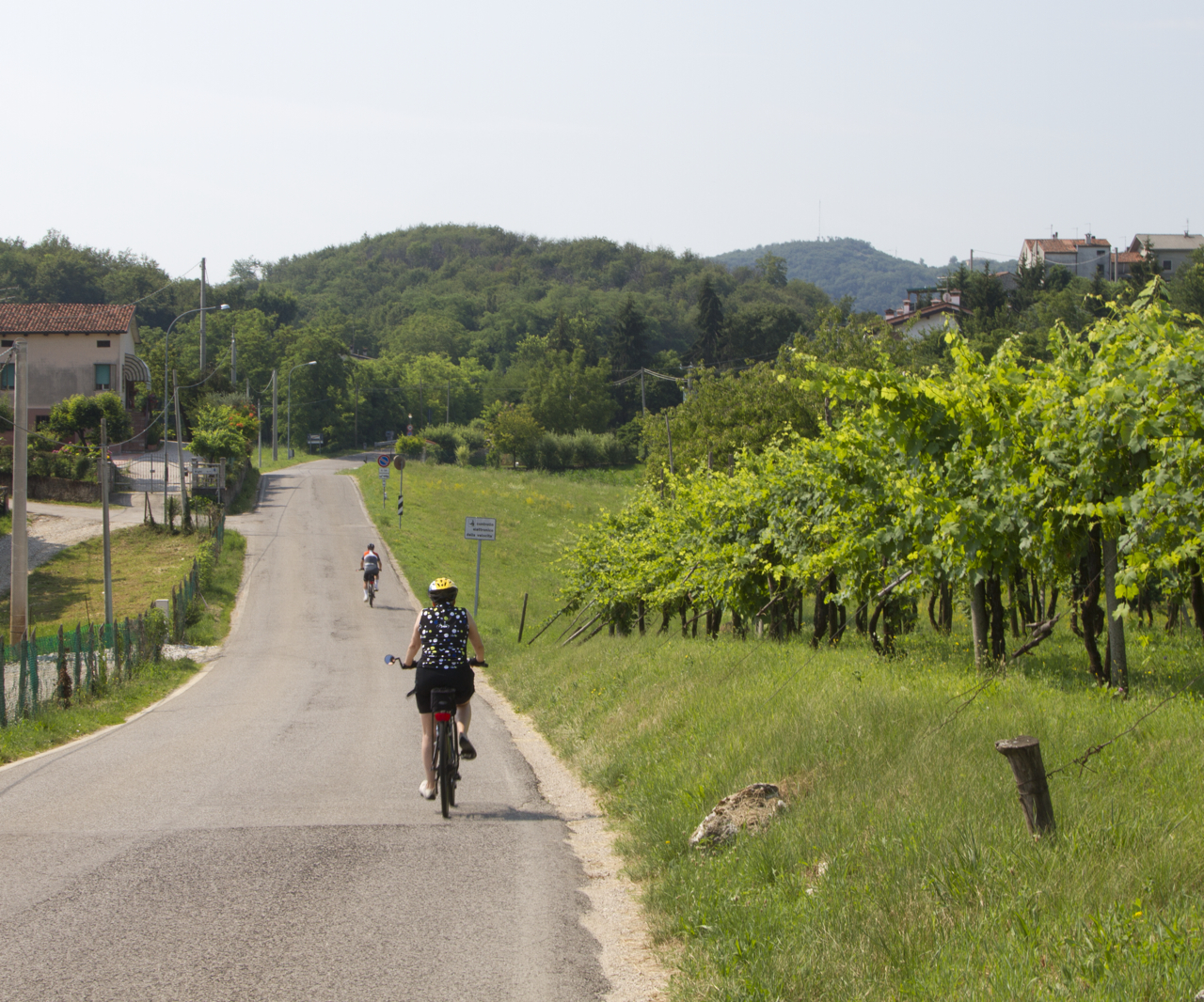 Cycling through the Berici Hills berici hill ride bike tours italy